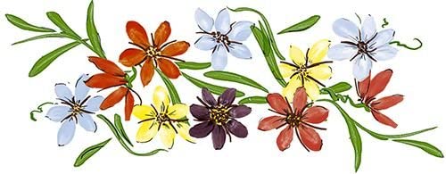 Juego de 2 tazas, tazones, cafeteras, tazones de porcelana - Zarcillo de flores con motivo BERNAU 