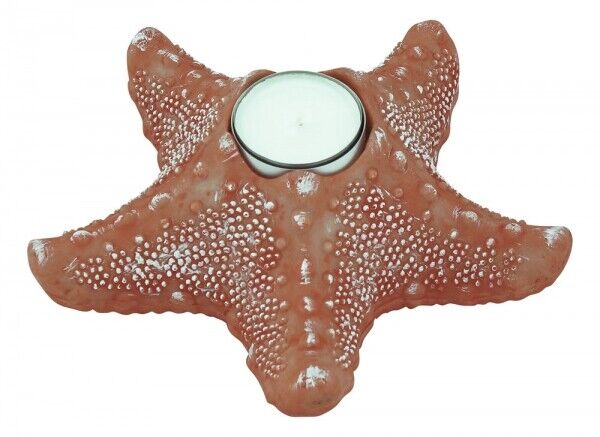 2X portavelas estrella de mar, marítimo - 17 cm - albaricoque